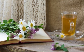 лук, чашка, ромашки, чай, аллиум, цветы, книга, блюдце